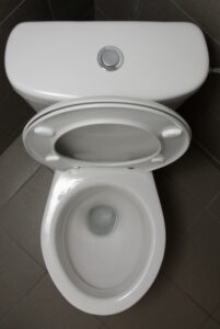toilet-with-button-flush